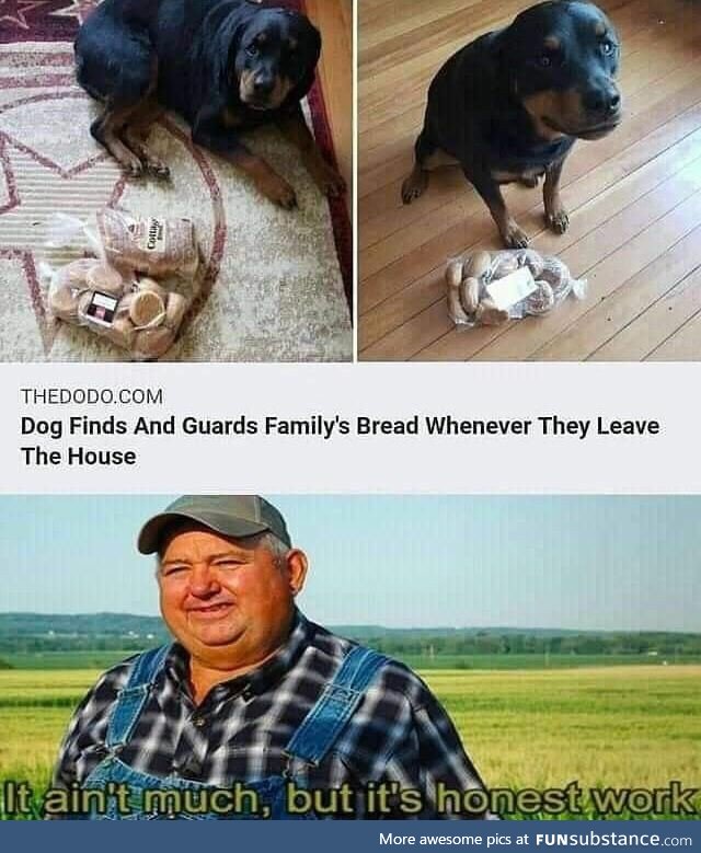 Dog guards family's bread