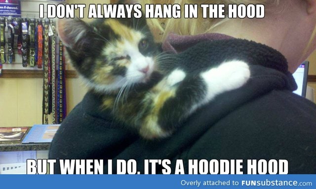 Cat in the "hood"