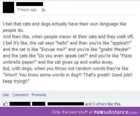 Cats and dogs