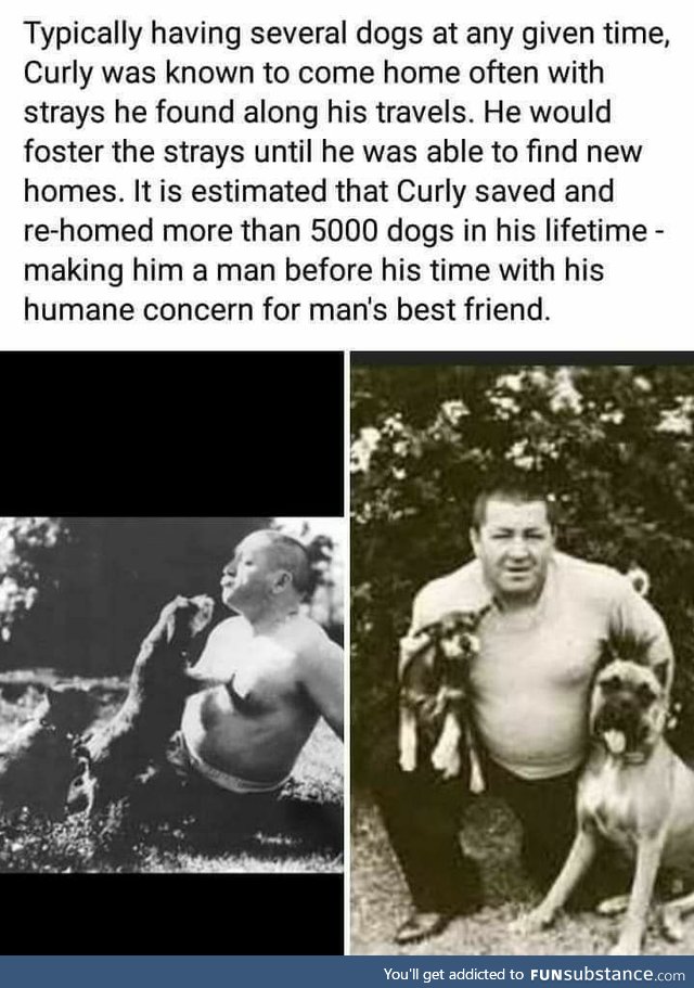 Curly Howard (Three Stooges) saving dogs