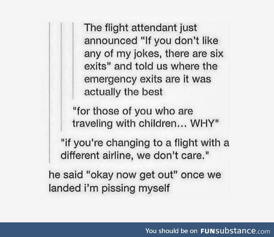 The best kind of flight attendant