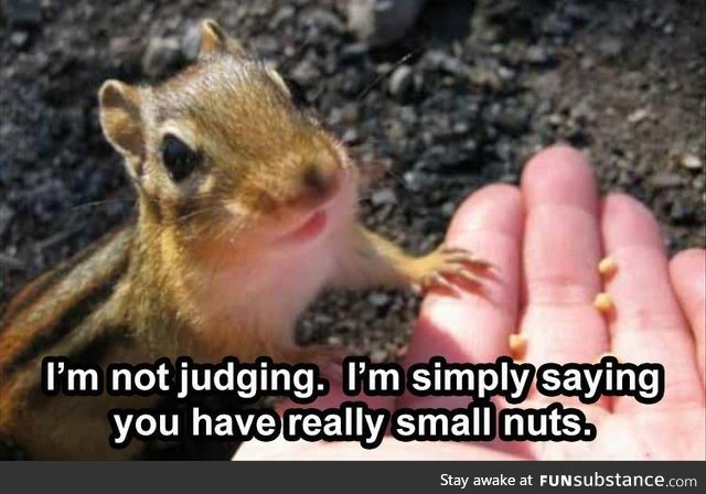It's not the size of the nuts that counts