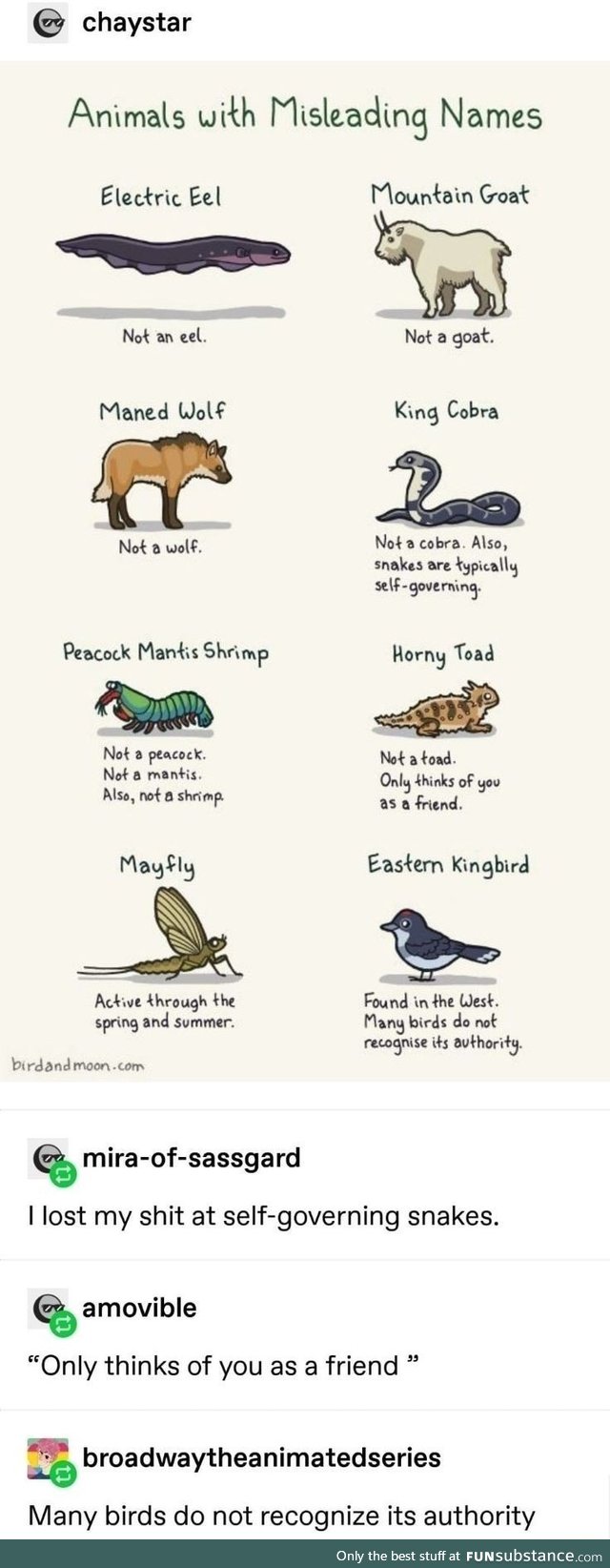 Animals with misleading names