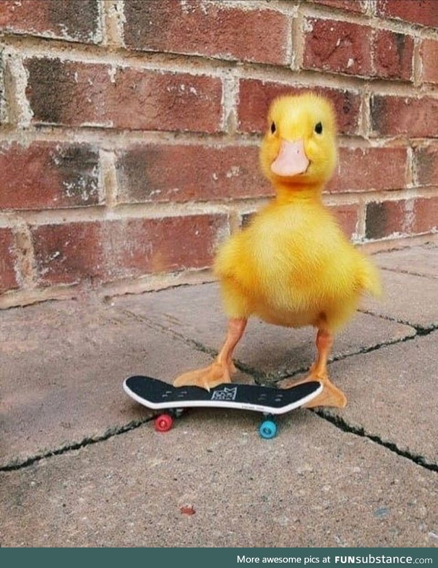Tony Duck's Pro Skater