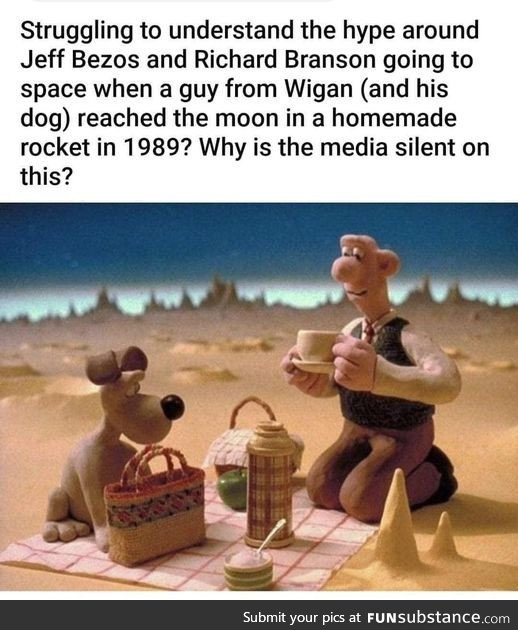 A rare Wallace & Gromit meme