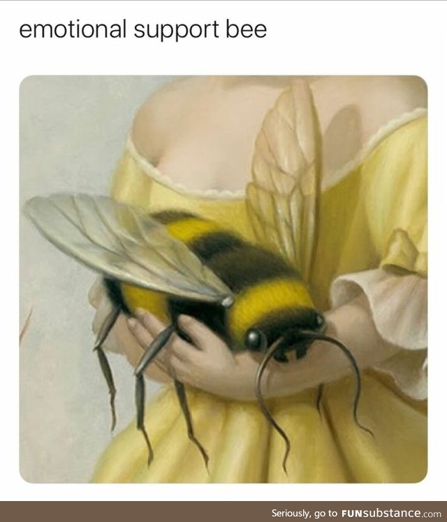 Emotional Support Bee
