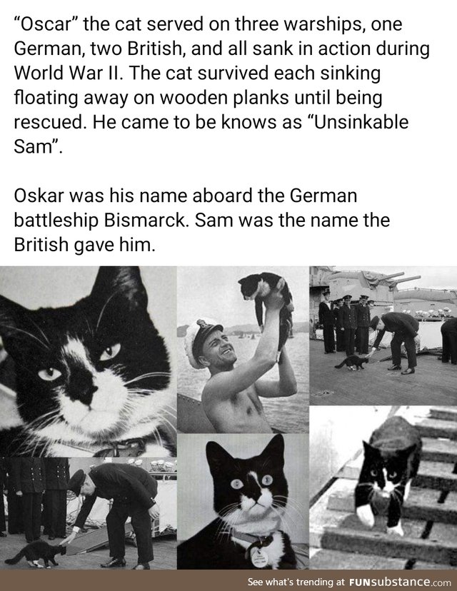 Daily dose of history, part 82