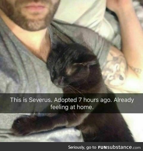 Serverus adopted seven hours ago