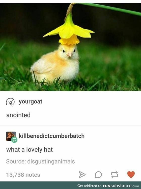 Anointed Chick in Lovely Hat