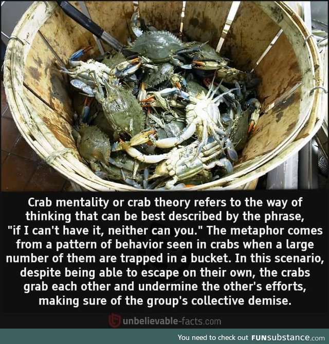 The crab bucket