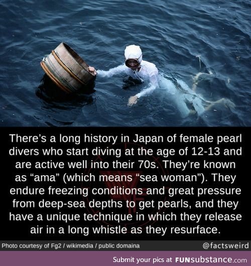 The sea women of Japan (Pearl Divers)