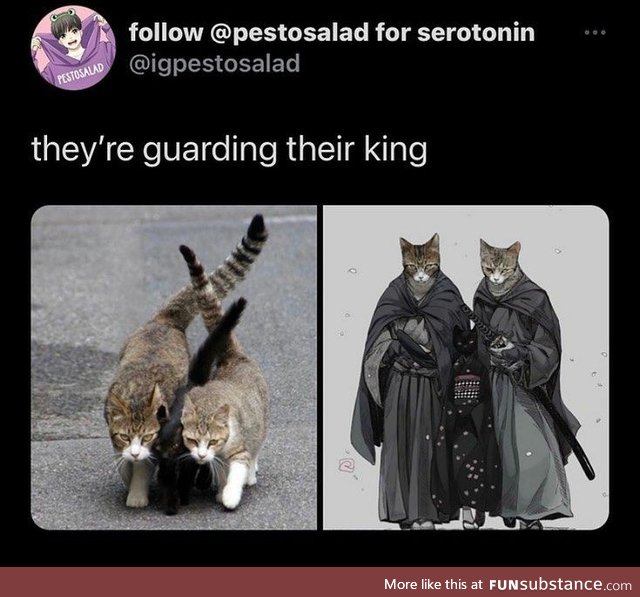 Guarding their king