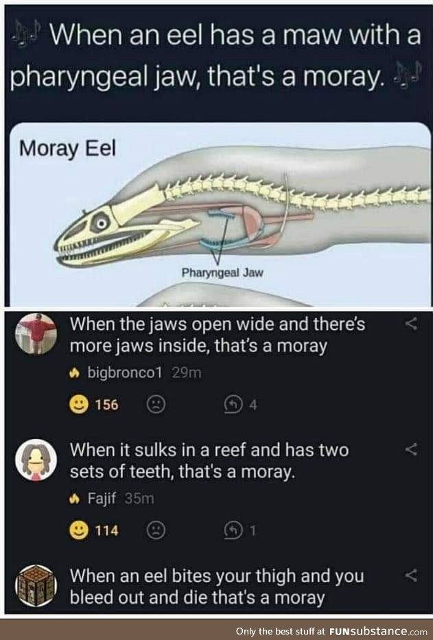 Can you eel the love tonight?