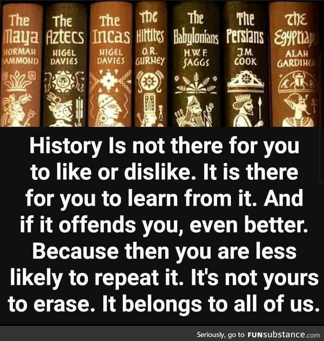 History is not there for you to erase