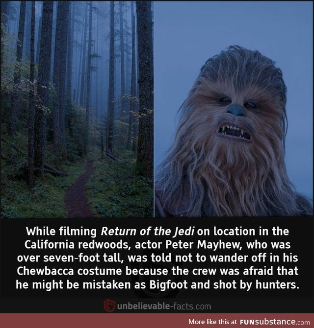 Trespassers will be shot. Actors dressed as Chewbacca will be shot again