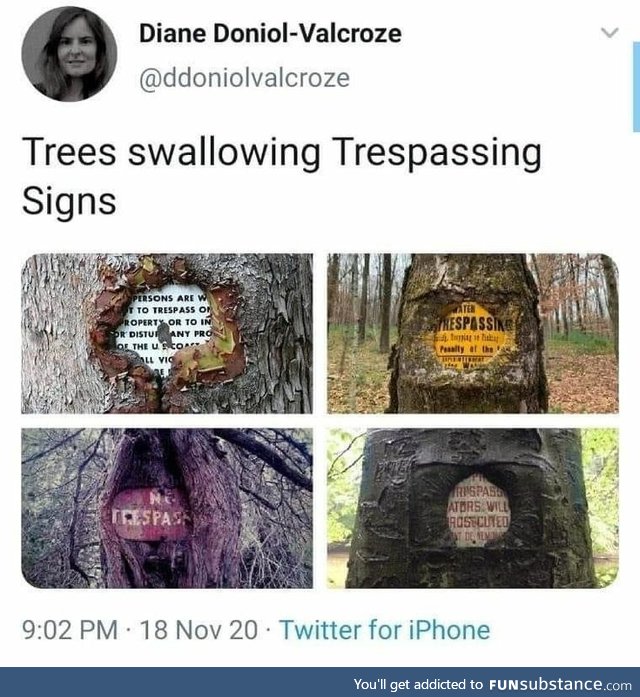 Trees swallowing trespasser signs