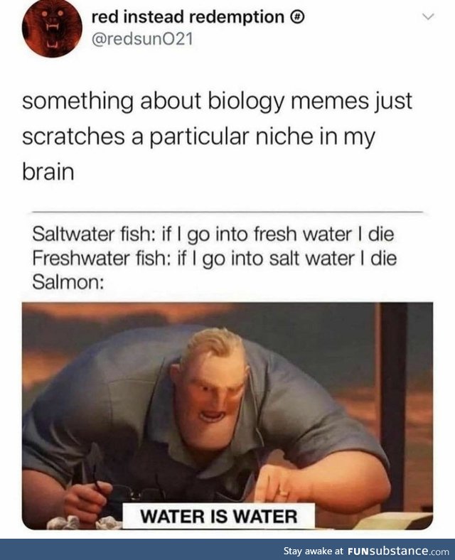 Salmon: water is water