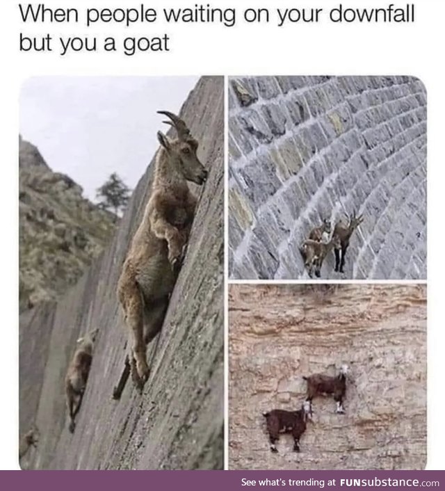 I’m a freaking goat