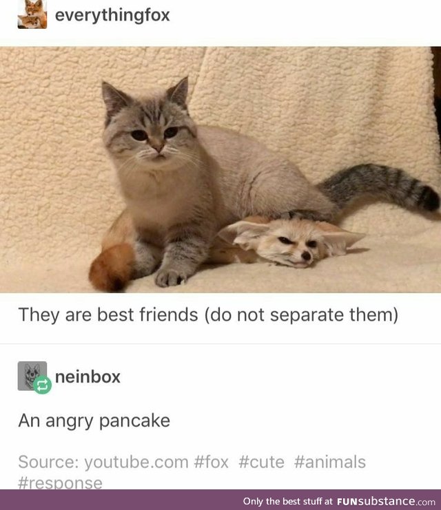 An angry pancake