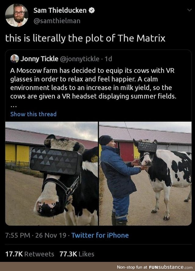 Matrix cow edition