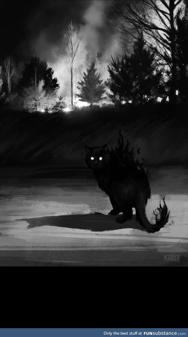 Spooktober cat