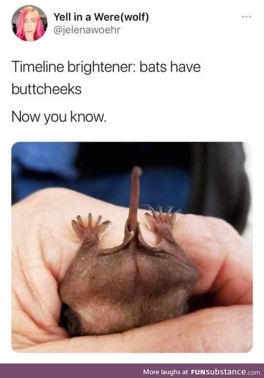 Bat butt. That is all.