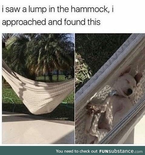 Lump in the hammock
