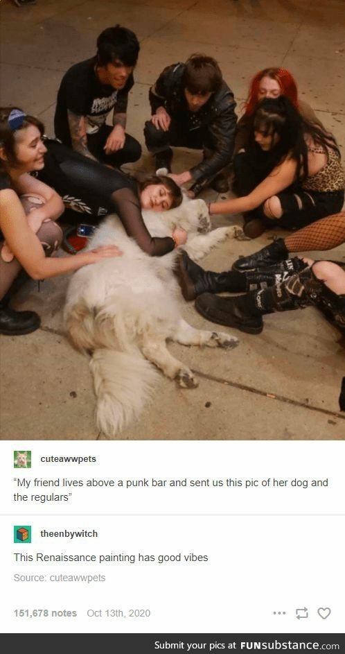 Punk bar meets dog