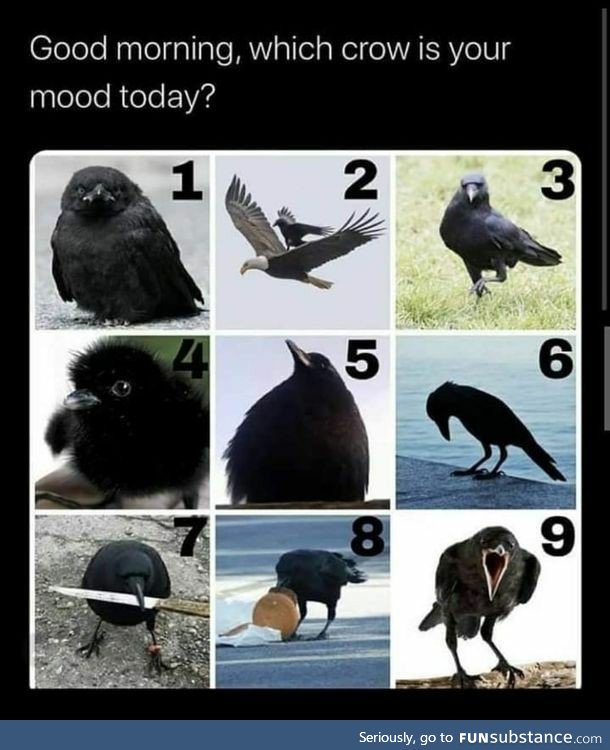 Number 4 is not a crow, but other than that which is your mood