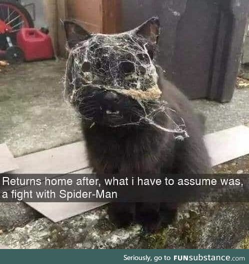 A fight with spiderman