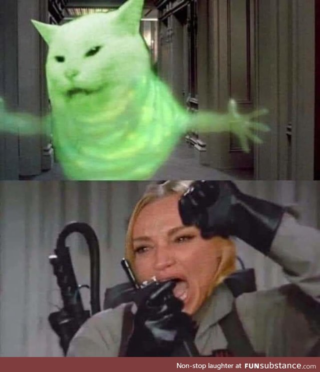 The new Ghostbusters seems lit