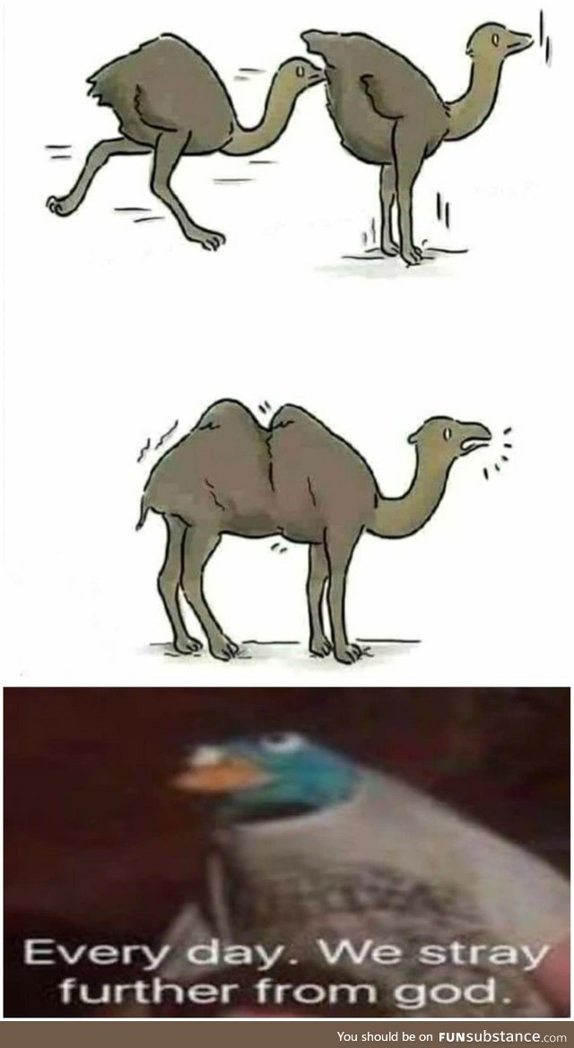 Ostrich: Become Camel