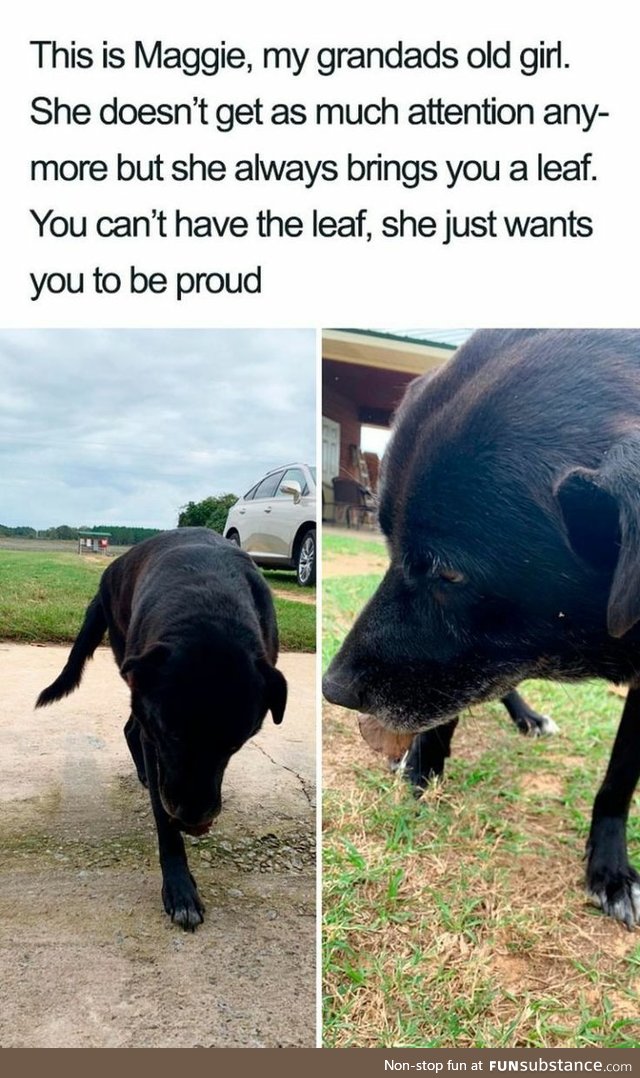 Maggie just wants you to be proud of her leaf