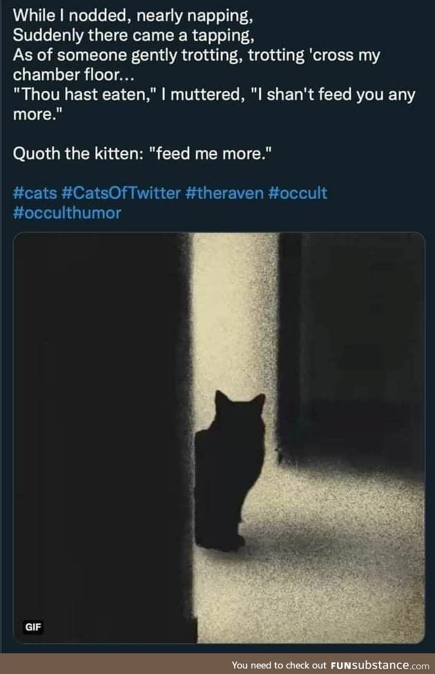 Quote the Kitten Feed Me More