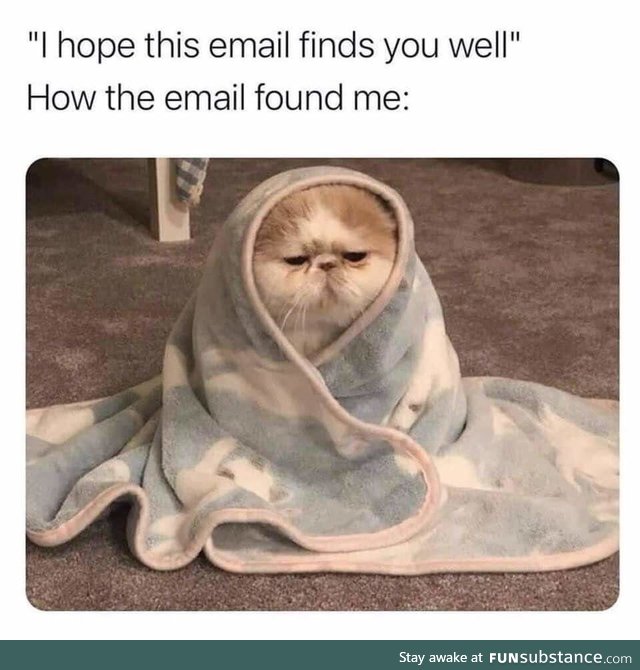 Hope this email finds you well