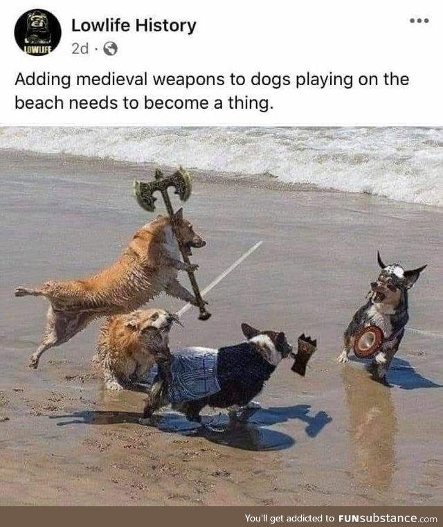 Adding Medieval Weapons to dogs playing on the beach
