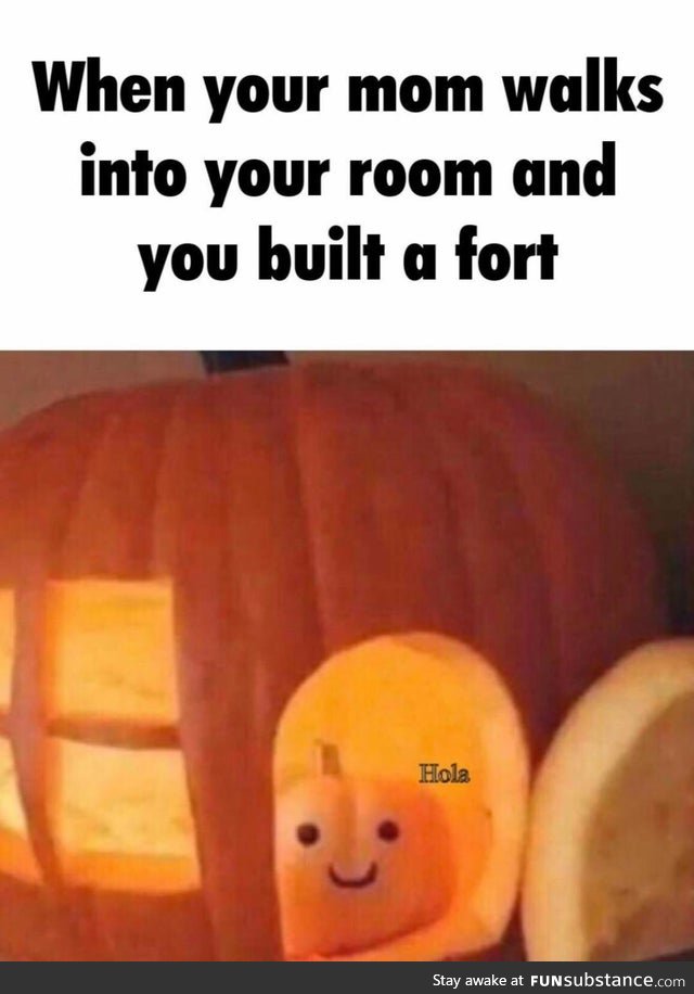 Built a fort in your room