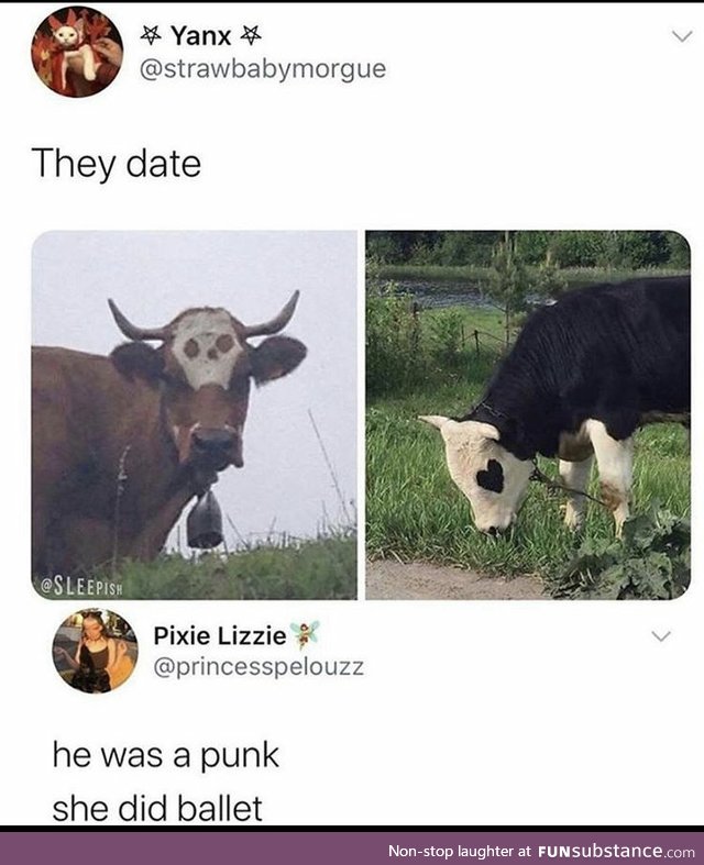 He was a skaterbull