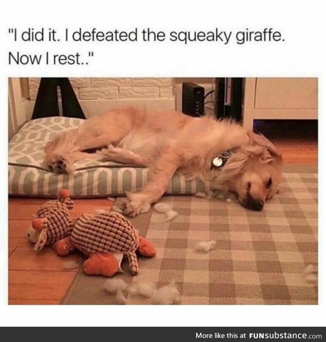 I defeated the squeaky Giraffe