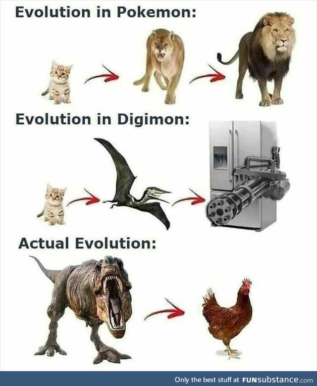 Actual evolution