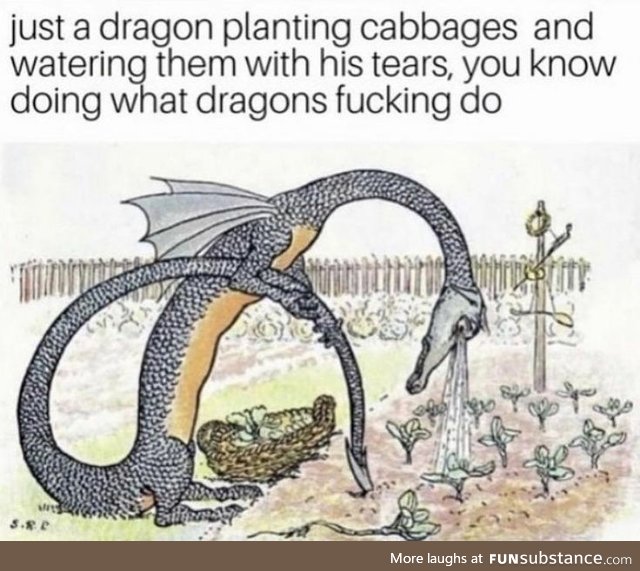 Just a dragon planting cabbages