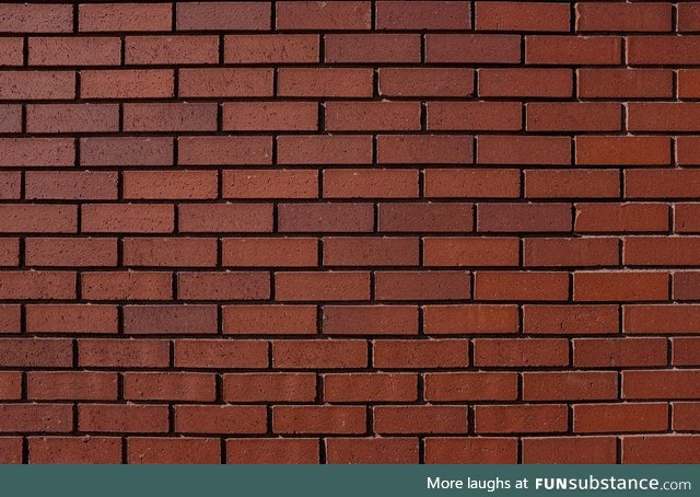 I broke my rule on arguing politics here, so here's a brick wall for you guys to yell at