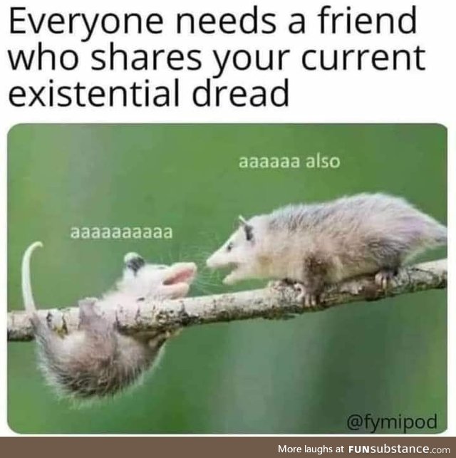 A friend to share existential dread