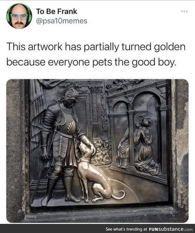 Golden good boi