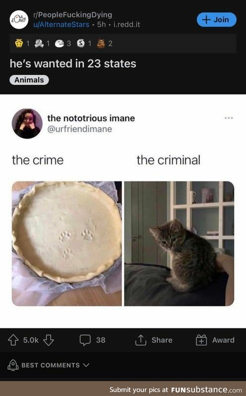 The crime; the criminal