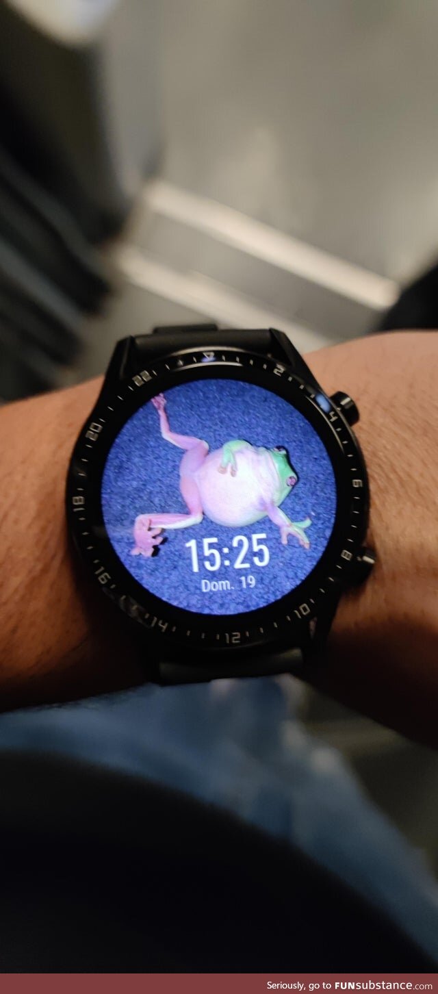 Froggo Fun R #8 - What Time Is It?