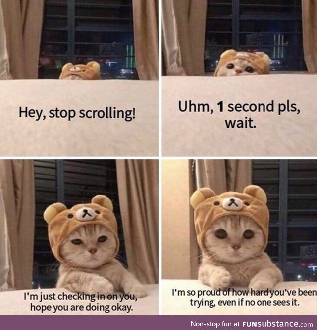 Stop scrolling pls