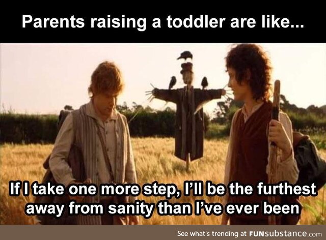 Raising a toddler, furthest away from sanity you'll ever be