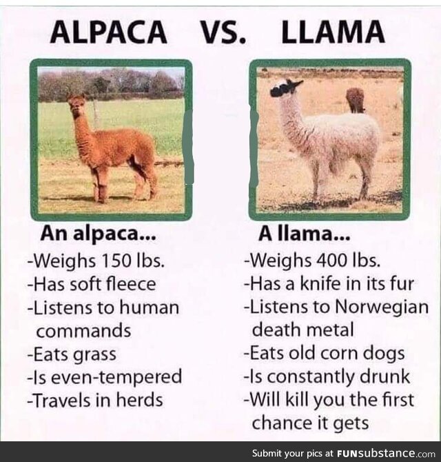 Stay calm-a when you want to harm a llama