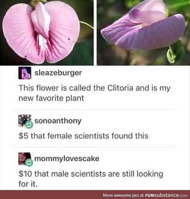 Male scientists will spend hours explaining the name to female scientists